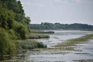 Izlet Madžarska Blatno jezero Mali Balaton 2018 83
