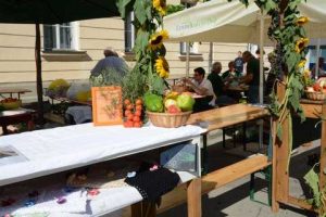 Bogracfest 2015 Lendava - 033