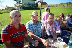 Kostanjev piknik 2014 v Moravskih Toplicah - 192